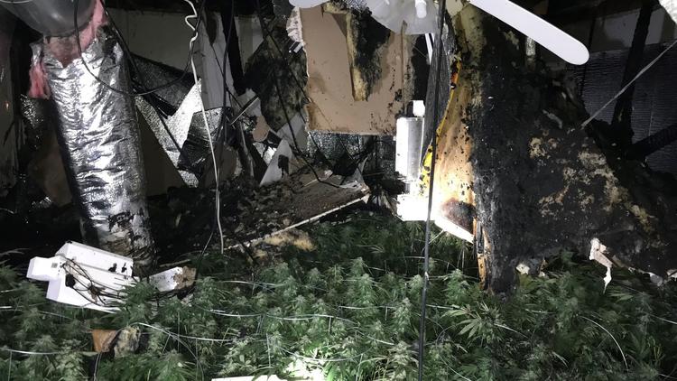 A marijuana grow operation in a Hesperia home had advanced lighting and filtration equipment. (San Bernardino County Sheriff's Department)